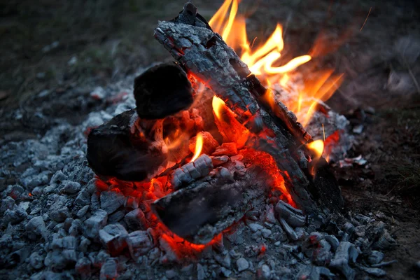 Incendie dans la cheminée — Photo