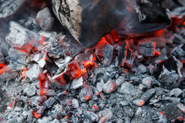 Incendie dans la cheminée — Photo