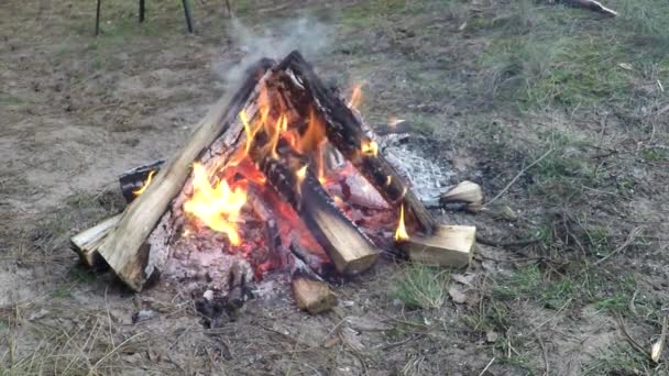 Fuego en la chimenea — Vídeos de Stock