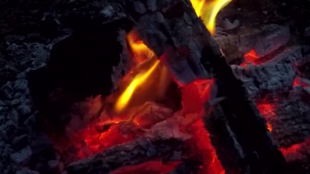 Oheň v krbu — Stock video