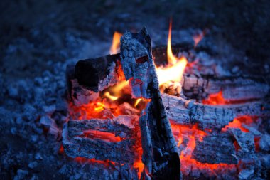Şöminede Ateş