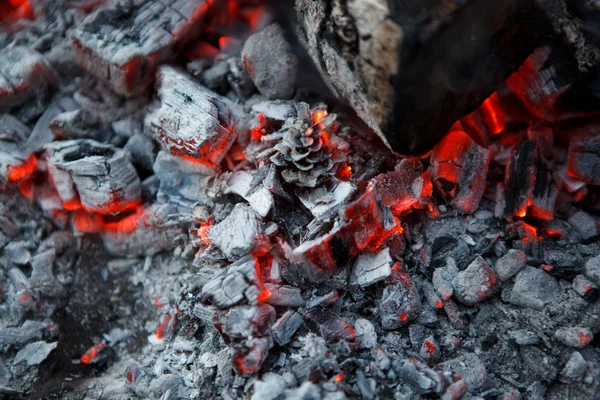 Fogo na lareira — Fotografia de Stock