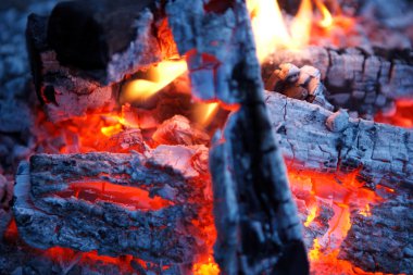 Şöminede Ateş