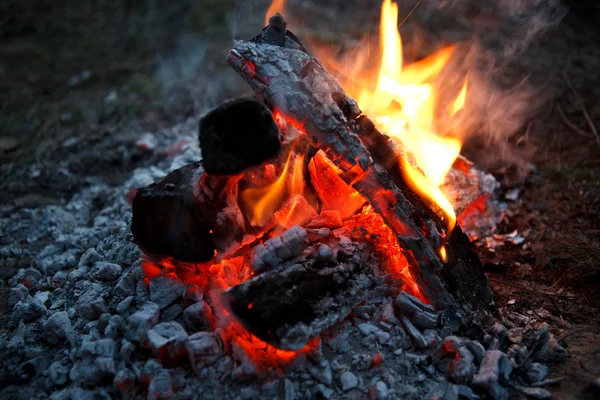 Fogo na lareira — Fotografia de Stock