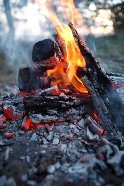 Incendie dans la cheminée — Photo