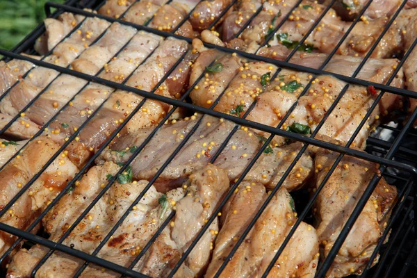 Barbacoa de carne parrilla — Foto de Stock