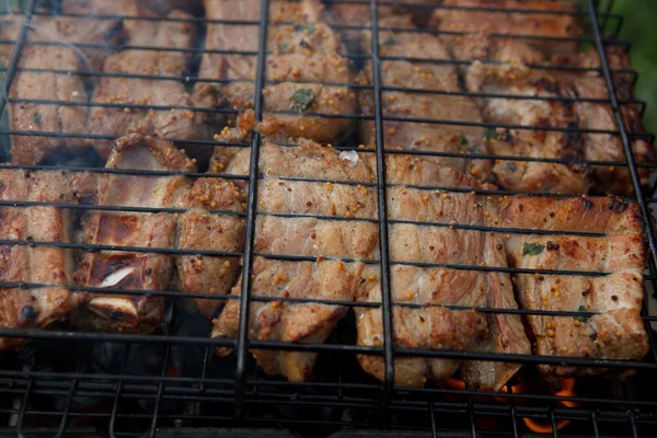 肉类烧烤炉 — 图库照片