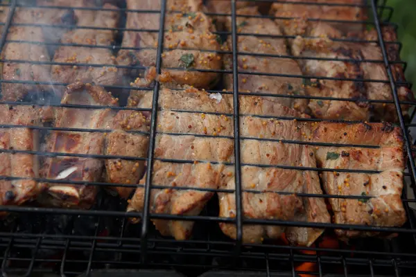 Barbacoa de carne parrilla — Foto de Stock