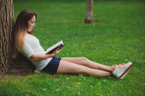 Mädchen mit Buch unter Baum — Stockfoto