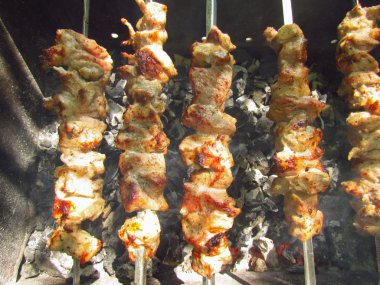 Bbq Izgarası