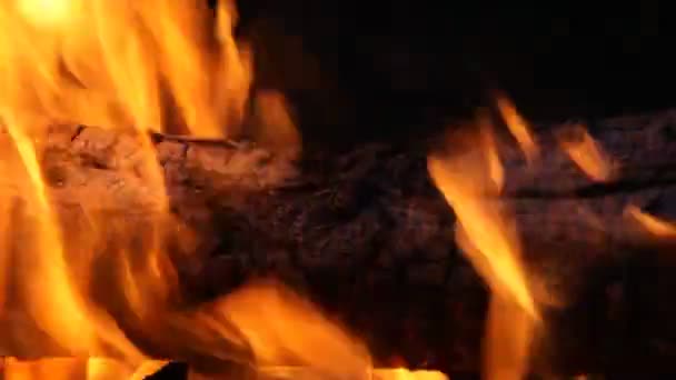 Вогонь — стокове відео