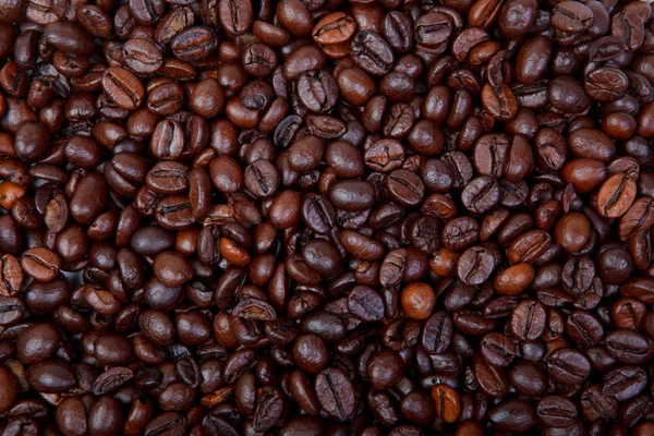 Zrnková káva tmavě — Stock fotografie