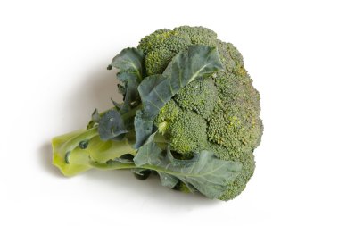 Yeşil brokoli izole