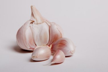 Sarımsak grup izole