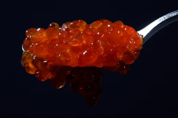 Caviar rojo pequeño — Foto de Stock