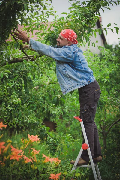 Hombre en una escalera —  Fotos de Stock