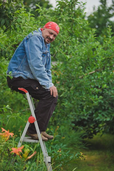 Man på en stege — Stockfoto