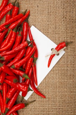 Chili fiyat listesi etiket