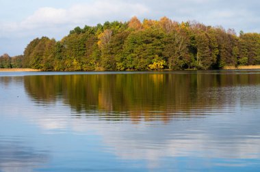 Polonya, Olsztyn - 10 Kasım 2020, Olsztyn 'deki Ukiel Gölü üzerinde yürü.