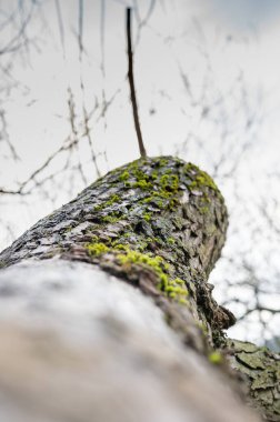 Göl kenarında sonbahar kış yürüyüşü