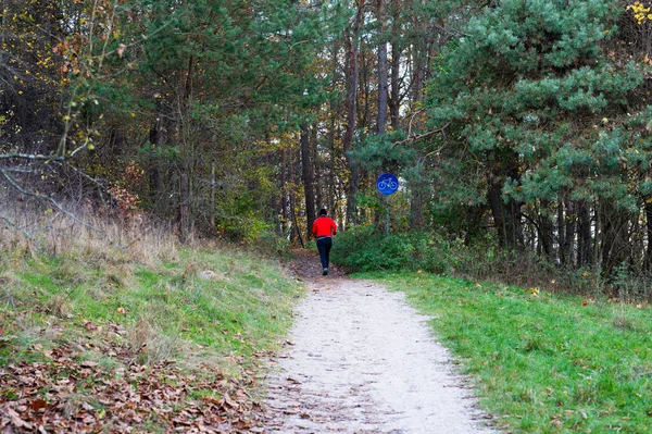 Herfst Wandeling Het Bos Park — Stockfoto