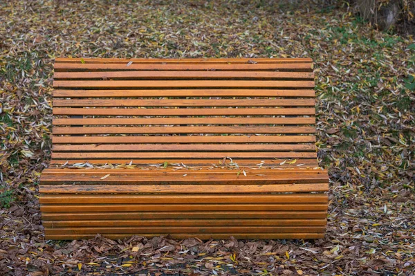 Banc Automne Dans Parc — Photo