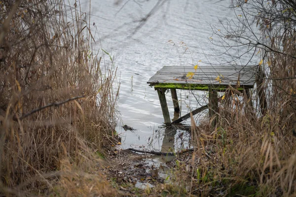 Automne Hiver Promenade Bord Lac — Photo