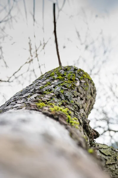 Göl kenarında sonbahar kış yürüyüşü