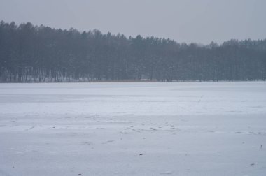 Olsztyn 'deki Kortowo Gölü' nde kış