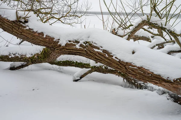 Mragowo 'da dondurulmuş Çek Gölü