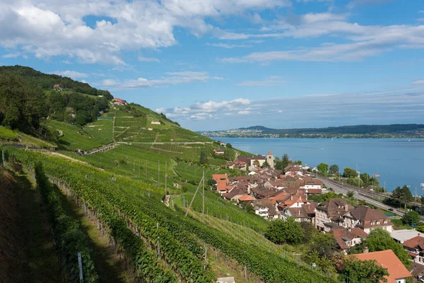 Twann, İsviçre - 14 Ağustos 2019 - Twann 'daki asma tarlalarının ve tüm şehrin manzarası