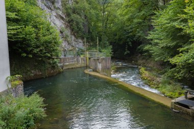 Taubenlochschlucht, İsviçre - 17 Ağustos 2019 - akarsu ve mini şelale manzarası ve yürüyüşü