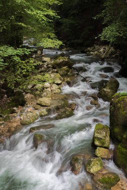 Taubenlochschlucht, İsviçre - 17 Ağustos 2019 - akarsu ve mini şelale manzarası ve yürüyüşü