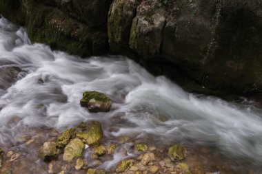Taubenlochschlucht, İsviçre - 17 Ağustos 2019 - akarsu ve mini şelale manzarası ve yürüyüşü