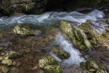 Taubenlochschlucht, İsviçre - 17 Ağustos 2019 - akarsu ve mini şelale manzarası ve yürüyüşü