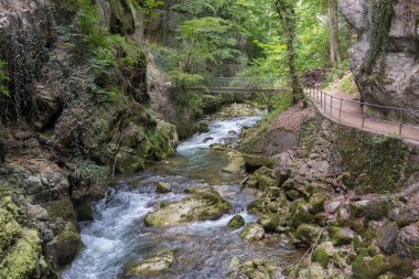 Taubenlochschlucht, İsviçre - 17 Ağustos 2019 - akarsu ve mini şelale manzarası ve yürüyüşü