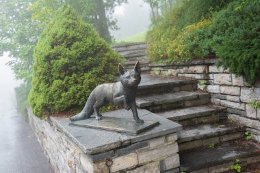 Murren, İsviçre - 13 Ağustos 2019 - Murren kasabası etrafındaki siste yürürken