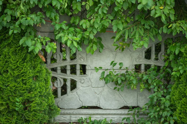 Τσιμεντένιος Φράχτης Κατάφυτος Πράσινη Βλάστηση Ιδανικός Για Φωτογραφικό Τοίχο — Φωτογραφία Αρχείου