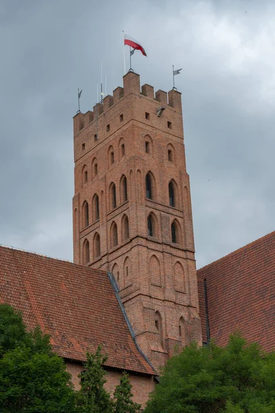 Malbork Polsko Července 2021 Pohled Hrad Malbork Červenou Cihlou Polsku — Stock fotografie