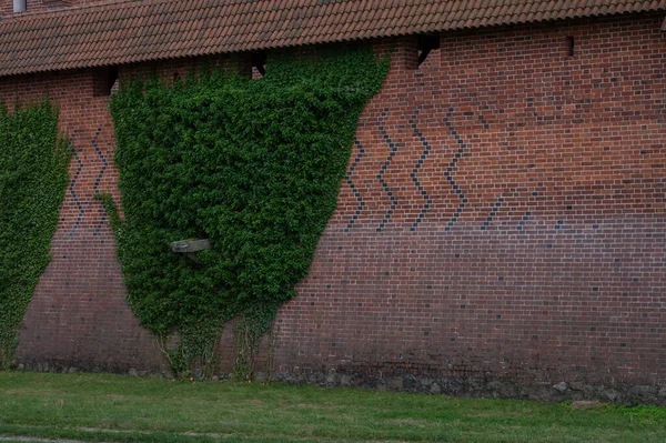 Malbork Polsko Července 2021 Pohled Hrad Malbork Červenou Cihlou Polsku — Stock fotografie