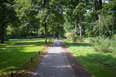 Berlin, Almanya - 11 Ağustos 2021 - Rosengarten Tiergarten 'daki Berlin' in merkezindeki parkta yürüyüş