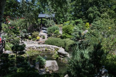 Karpacz, Polonya 'daki Japon Bahçesi. 01 Temmuz 2025. Japon tarzı bir bahçe..