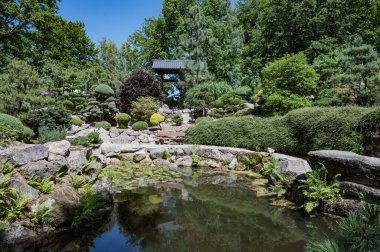 Karpacz, Polonya 'daki Japon Bahçesi. 01 Temmuz 2025. Japon tarzı bir bahçe..
