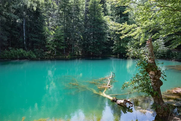 Renkli Göller -, Polonya 05 Temmuz 2025, Wielka Kopa 'nın eteğindeki renkli göllerde yürüyüş.