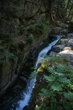 Sniezka Tepesi, Polonya 2 Temmuz 2025, Sniezka 'da yürüyün ve Polonya ile Çek Cumhuriyeti' ni görün, dağın zirvesine gidin..