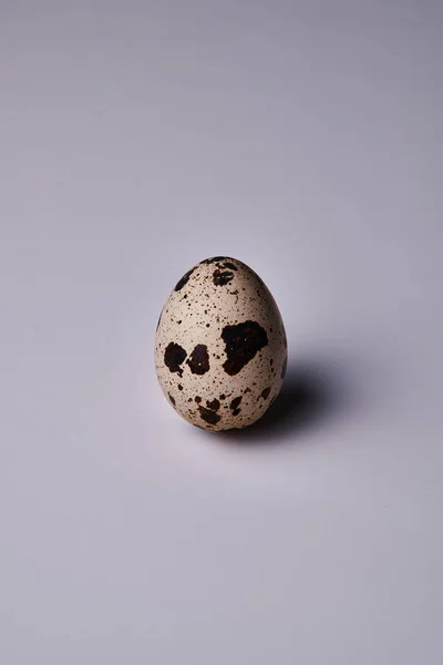 Перепелине Яйце Світлому Фоні — стокове фото