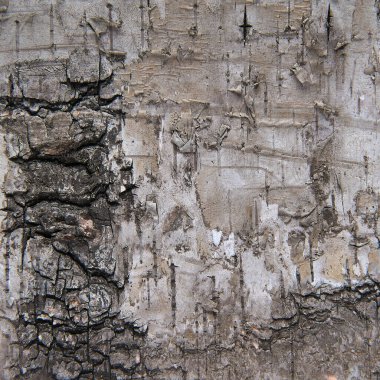 Soyut dokusu için arkaplan kabuğunun yakın görünümü