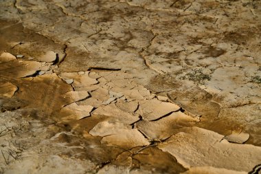 Doğal parktaki toprak ve taşlar. 