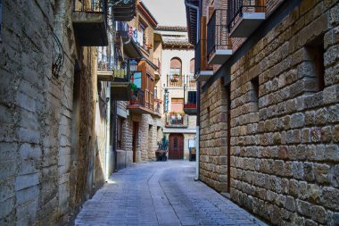 OLITE, NAVARRA İSPANESİ 20 Şubat 2021: Olite şehri manzarası