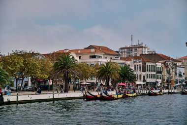 Aveiro Kanalı 'nda geleneksel renkli tekneler